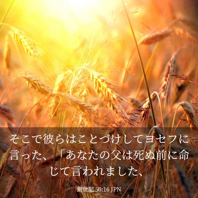 Picture 03 - 創世記 50:16 JPN - そこで彼らはことづけしてヨセフに - Bible Verse Picture