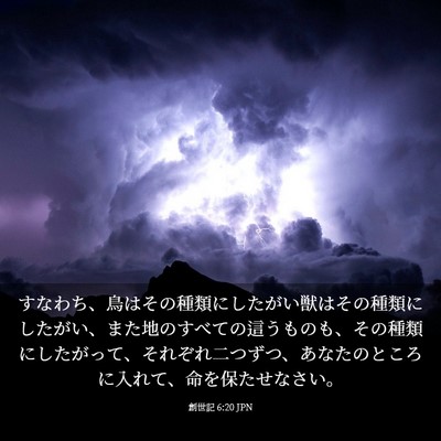 Picture 03 - 創世記 6:20 JPN - すなわち、鳥はその種類にしたがい - Bible Verse Picture