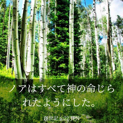 Picture 03 - 創世記 6:22 JPN - ノアはすべて神の命じられたように - Bible Verse Picture