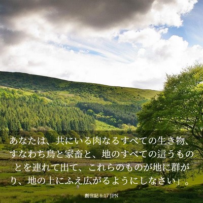 Picture 03 - 創世記 8:17 JPN - あなたは、共にいる肉なるすべての - Bible Verse Picture