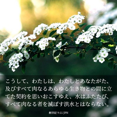 Picture 03 - 創世記 9:15 JPN - こうして、わたしは、わたしとあな - Bible Verse Picture