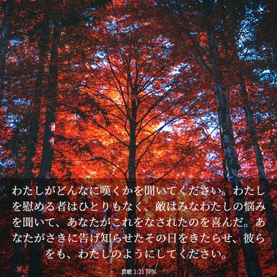 Picture 03 - 哀歌 1:21 JPN - わたしがどんなに嘆くかを聞いてく - Bible Verse Picture
