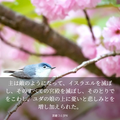 Picture 03 - 哀歌 2:5 JPN - 主は敵のようになって、イスラエル - Bible Verse Picture