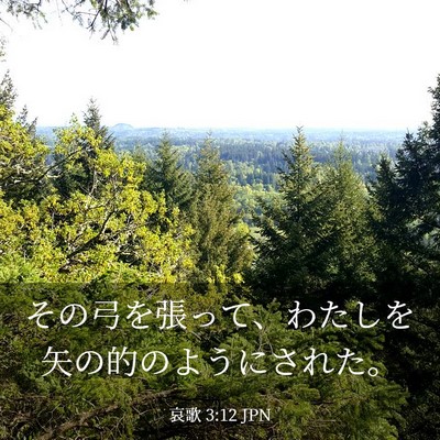 Picture 03 - 哀歌 3:12 JPN - その弓を張って、わたしを矢の的の - Bible Verse Picture