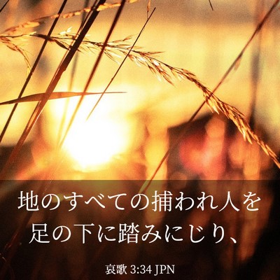 Picture 03 - 哀歌 3:34 JPN - 地のすべての捕われ人を足の下に踏 - Bible Verse Picture