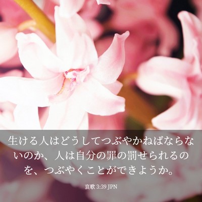 Picture 03 - 哀歌 3:39 JPN - 生ける人はどうしてつぶやかねばな - Bible Verse Picture