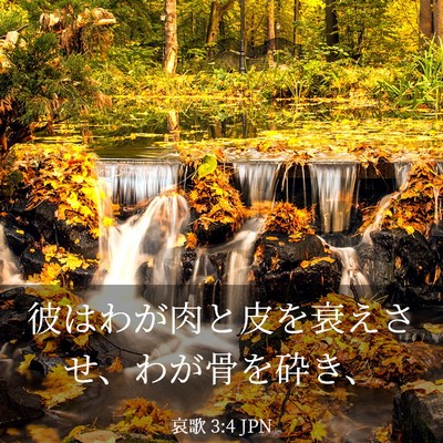 Picture 03 - 哀歌 3:4 JPN - 彼はわが肉と皮を衰えさせ、わが骨 - Bible Verse Picture