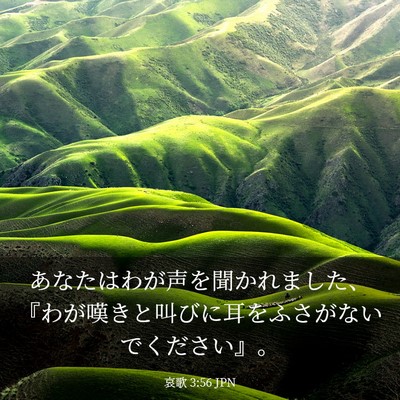 Picture 03 - 哀歌 3:56 JPN - あなたはわが声を聞かれました、『 - Bible Verse Picture