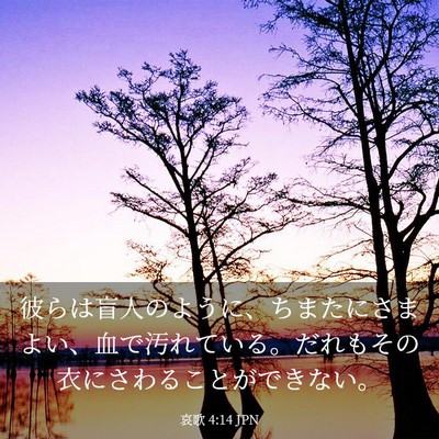 Picture 03 - 哀歌 4:14 JPN - 彼らは盲人のように、ちまたにさま - Bible Verse Picture