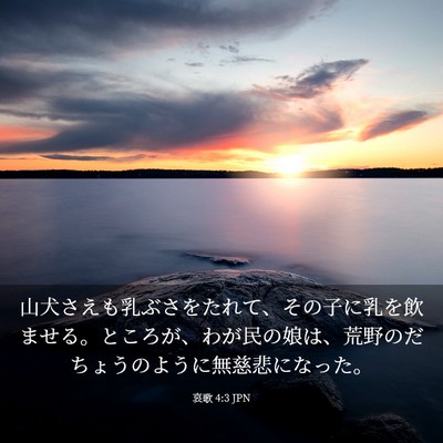 Picture 03 - 哀歌 4:3 JPN - 山犬さえも乳ぶさをたれて、その子 - Bible Verse Picture