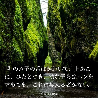 Picture 03 - 哀歌 4:4 JPN - 乳のみ子の舌はかわいて、上あごに - Bible Verse Picture