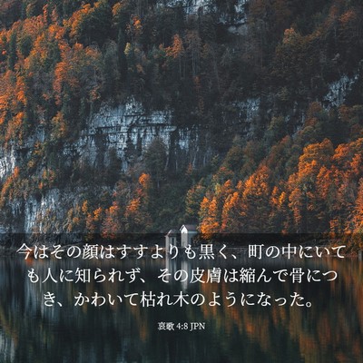 Picture 03 - 哀歌 4:8 JPN - 今はその顔はすすよりも黒く、町の - Bible Verse Picture