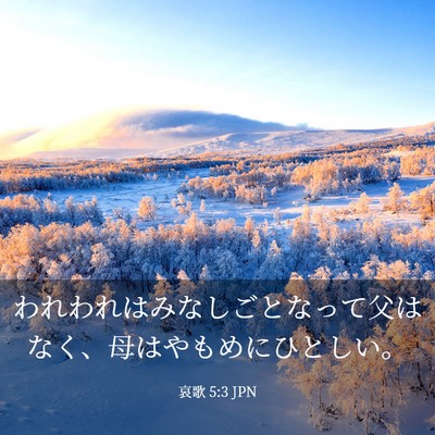 Picture 03 - 哀歌 5:3 JPN - われわれはみなしごとなって父はな - Bible Verse Picture