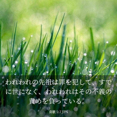 Picture 03 - 哀歌 5:7 JPN - われわれの先祖は罪を犯して、すで - Bible Verse Picture