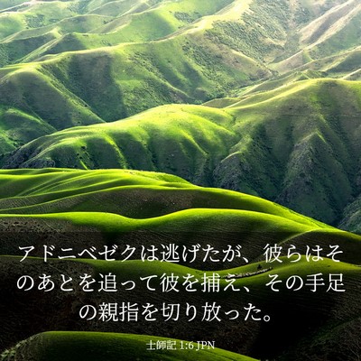 Picture 03 - 士師記 1:6 JPN - アドニベゼクは逃げたが、彼らはそ - Bible Verse Picture