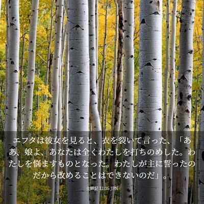 Picture 03 - 士師記 11:35 JPN - エフタは彼女を見ると、衣を裂いて - Bible Verse Picture