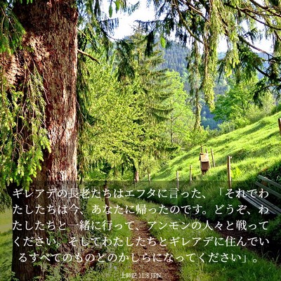 Picture 03 - 士師記 11:8 JPN - ギレアデの長老たちはエフタに言っ - Bible Verse Picture