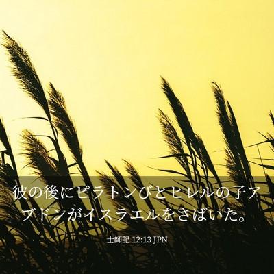 Picture 03 - 士師記 12:13 JPN - 彼の後にピラトンびとヒレルの子ア - Bible Verse Picture