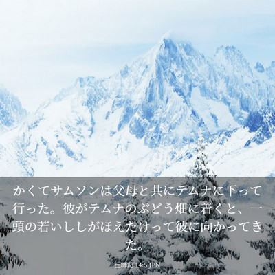 Picture 03 - 士師記 14:5 JPN - かくてサムソンは父母と共にテムナ - Bible Verse Picture