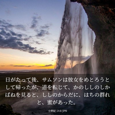 Picture 03 - 士師記 14:8 JPN - 日がたって後、サムソンは彼女をめ - Bible Verse Picture