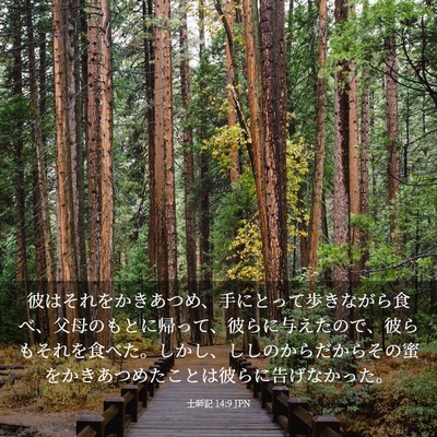 Picture 03 - 士師記 14:9 JPN - 彼はそれをかきあつめ、手にとって - Bible Verse Picture