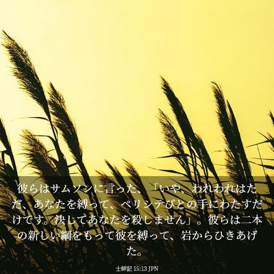 Picture 03 - 士師記 15:13 JPN - 彼らはサムソンに言った、「いや、 - Bible Verse Picture