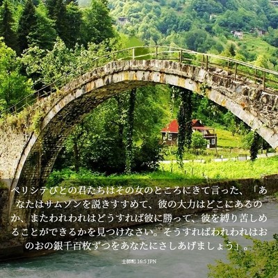 Picture 03 - 士師記 16:5 JPN - ペリシテびとの君たちはその女のと - Bible Verse Picture
