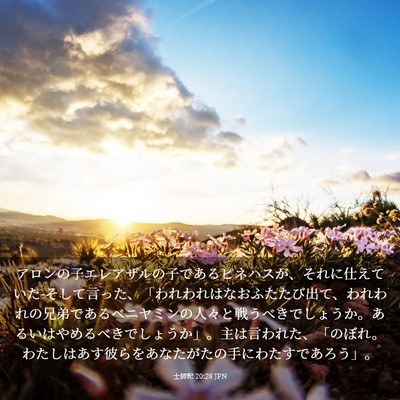 Picture 03 - 士師記 20:28 JPN - アロンの子エレアザルの子であるピ - Bible Verse Picture