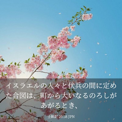 Picture 03 - 士師記 20:38 JPN - イスラエルの人々と伏兵の間に定め - Bible Verse Picture