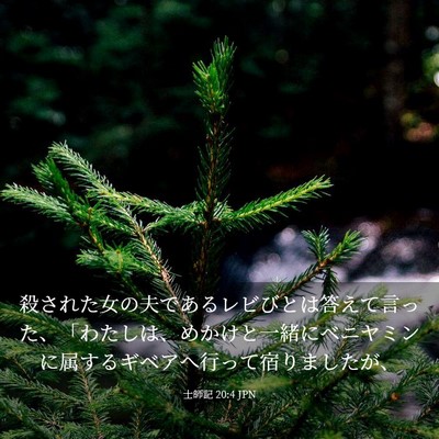 Picture 03 - 士師記 20:4 JPN - 殺された女の夫であるレビびとは答 - Bible Verse Picture
