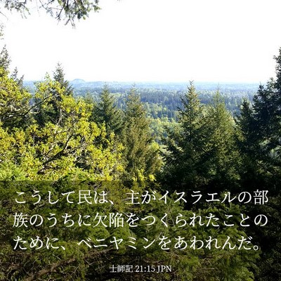 Picture 03 - 士師記 21:15 JPN - こうして民は、主がイスラエルの部 - Bible Verse Picture