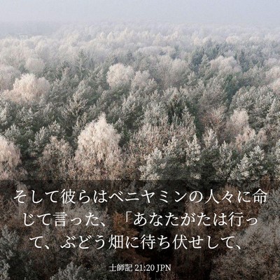 Picture 03 - 士師記 21:20 JPN - そして彼らはベニヤミンの人々に命 - Bible Verse Picture