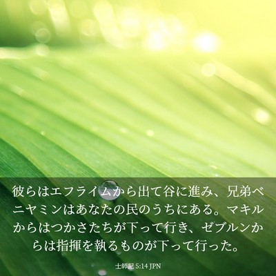 Picture 03 - 士師記 5:14 JPN - 彼らはエフライムから出て谷に進み - Bible Verse Picture