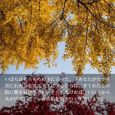 Picture 03 - 士師記 9:15 JPN - いばらはもろもろの木に言った、『 - Bible Verse Picture