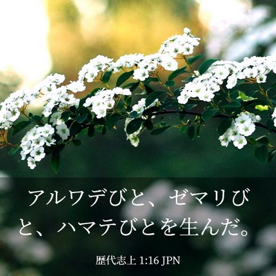Picture 03 - 歴代志上 1:16 JPN - アルワデびと、ゼマリびと、ハマテ - Bible Verse Picture