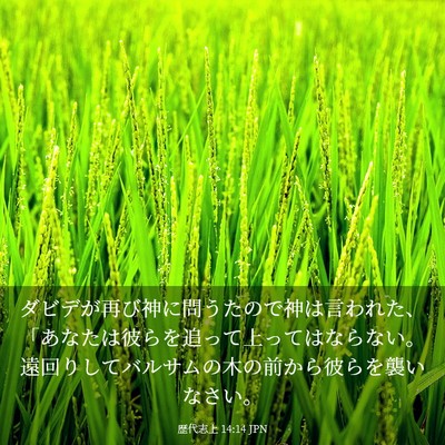Picture 03 - 歴代志上 14:14 JPN - ダビデが再び神に問うたので神は言 - Bible Verse Picture
