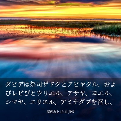 Picture 03 - 歴代志上 15:11 JPN - ダビデは祭司ザドクとアビヤタル、 - Bible Verse Picture