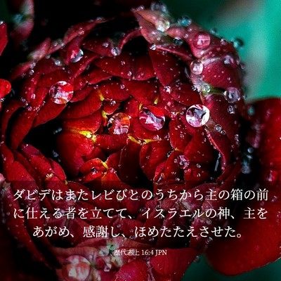 Picture 03 - 歴代志上 16:4 JPN - ダビデはまたレビびとのうちから主 - Bible Verse Picture