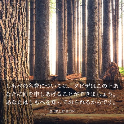 Picture 03 - 歴代志上 17:18 JPN - しもべの名誉については、ダビデは - Bible Verse Picture