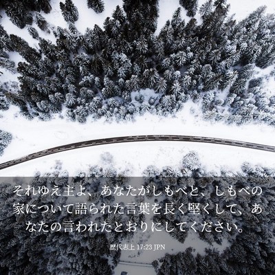 Picture 03 - 歴代志上 17:23 JPN - それゆえ主よ、あなたがしもべと、 - Bible Verse Picture