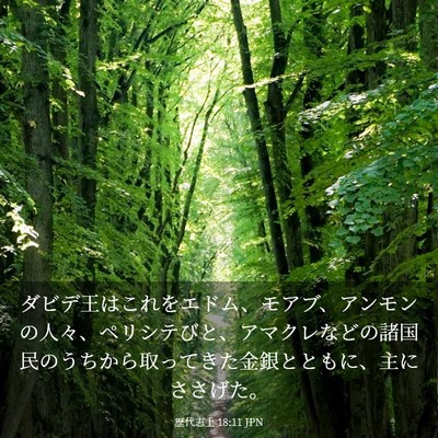 Picture 03 - 歴代志上 18:11 JPN - ダビデ王はこれをエドム、モアブ、 - Bible Verse Picture