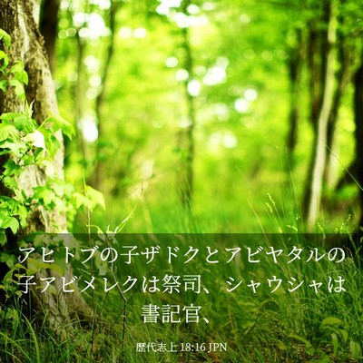 Picture 03 - 歴代志上 18:16 JPN - アヒトブの子ザドクとアビヤタルの - Bible Verse Picture