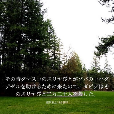 Picture 03 - 歴代志上 18:5 JPN - その時ダマスコのスリヤびとがゾバ - Bible Verse Picture
