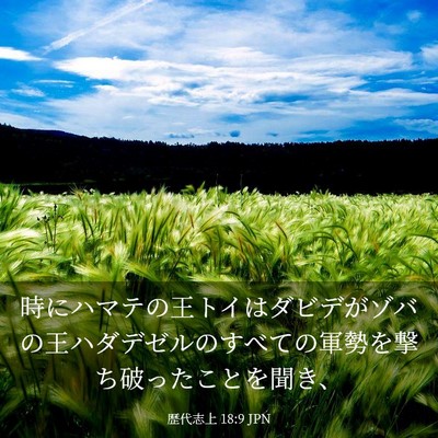 Picture 03 - 歴代志上 18:9 JPN - 時にハマテの王トイはダビデがゾバ - Bible Verse Picture