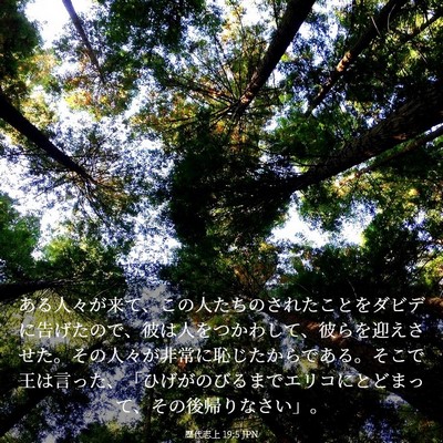 Picture 03 - 歴代志上 19:5 JPN - ある人々が来て、この人たちのされ - Bible Verse Picture