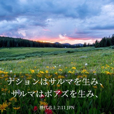 Picture 03 - 歴代志上 2:11 JPN - ナションはサルマを生み、サルマは - Bible Verse Picture