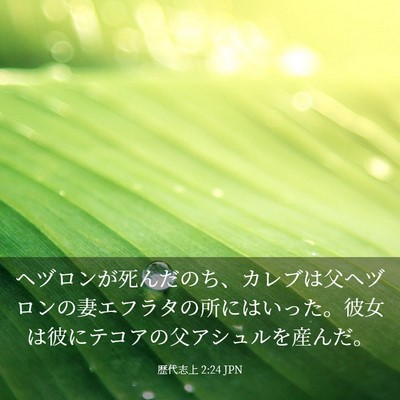 Picture 03 - 歴代志上 2:24 JPN - ヘヅロンが死んだのち、カレブは父 - Bible Verse Picture