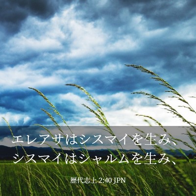 Picture 03 - 歴代志上 2:40 JPN - エレアサはシスマイを生み、シスマ - Bible Verse Picture