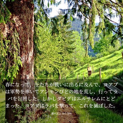 Picture 03 - 歴代志上 20:1 JPN - 春になって、王たちが戦いに出るに - Bible Verse Picture