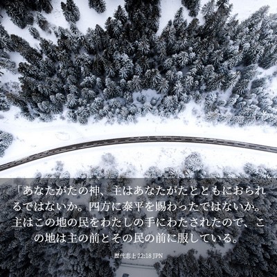 Picture 03 - 歴代志上 22:18 JPN - 「あなたがたの神、主はあなたがた - Bible Verse Picture